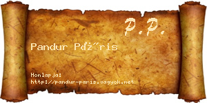 Pandur Páris névjegykártya